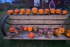 20211030_161532234_iOS-scaled