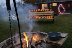 20211030_162219039_iOS-scaled