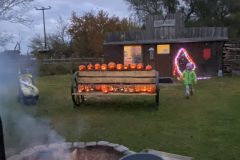 20211030_162235189_iOS-scaled