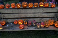 20211030_162514347_iOS-scaled