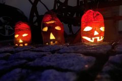 20211030_165229824_iOS-scaled