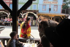 IMG_3521