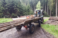 horst-handy-a5-1370